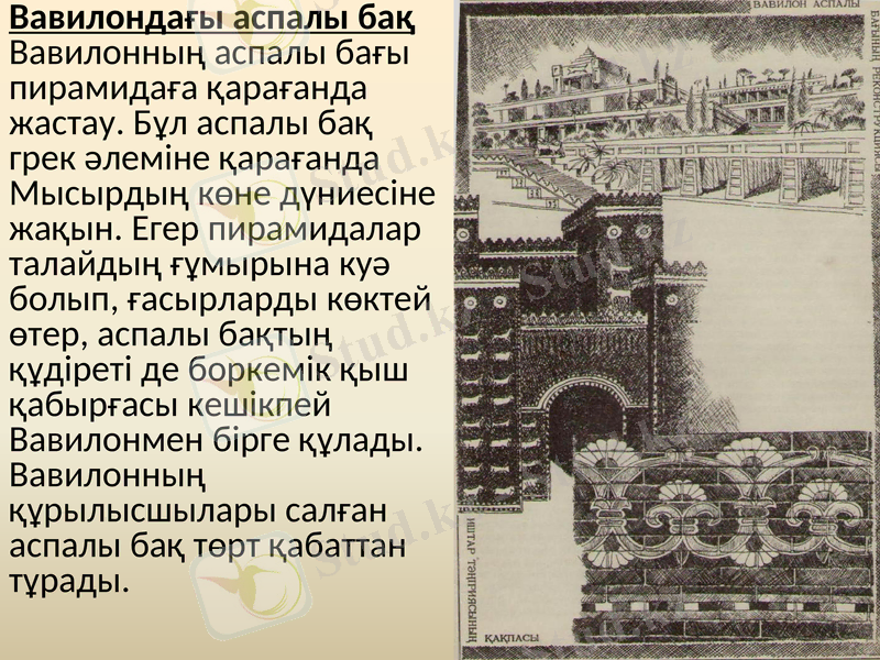 Slide 10