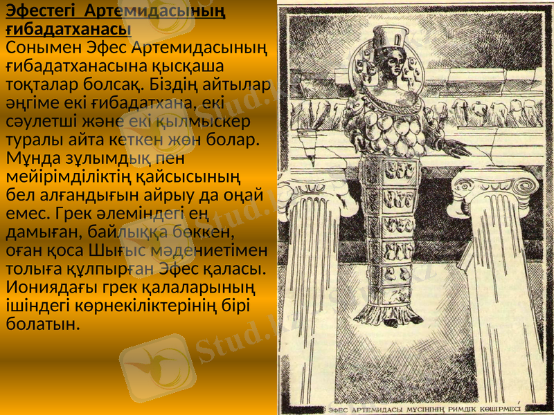 Slide 11