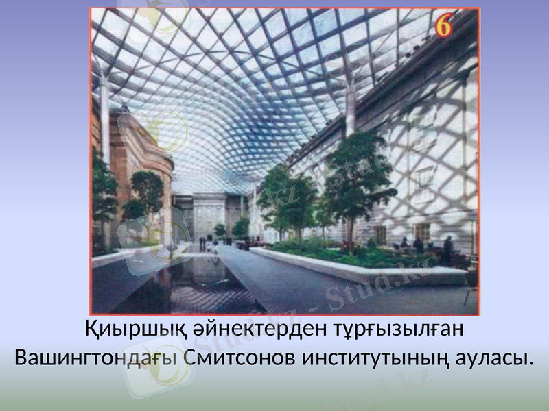 Slide 6