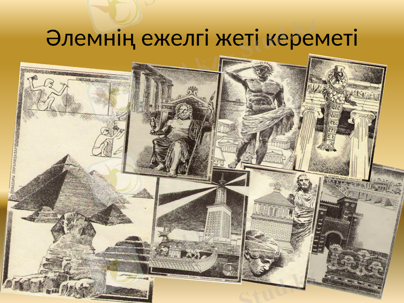 Slide 8