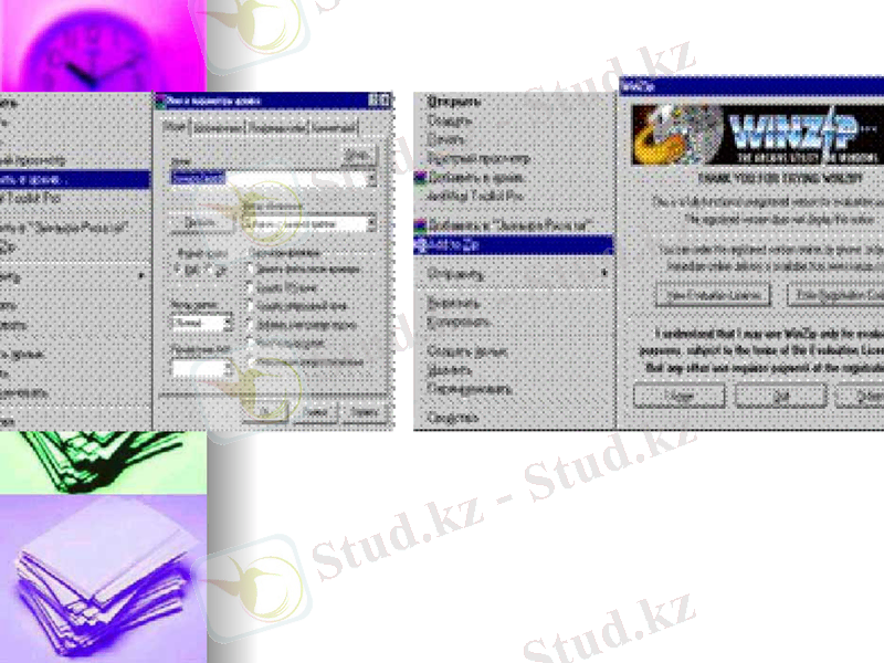 Slide 6