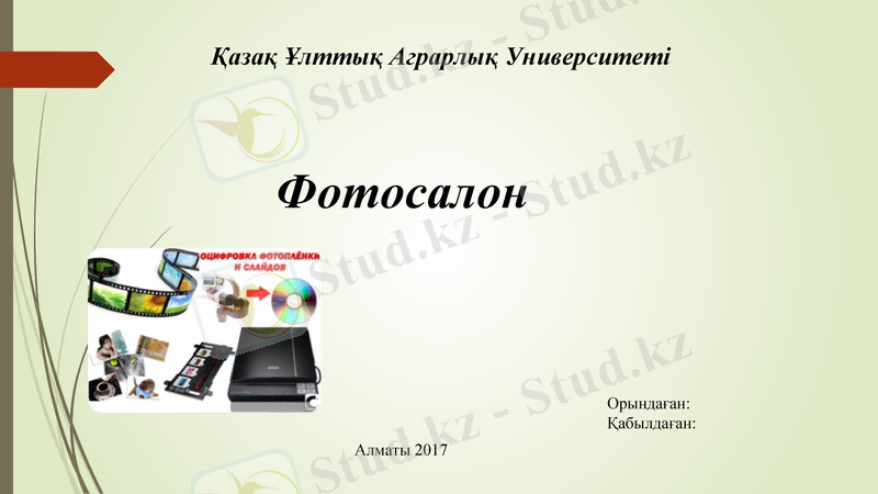 Slide 1