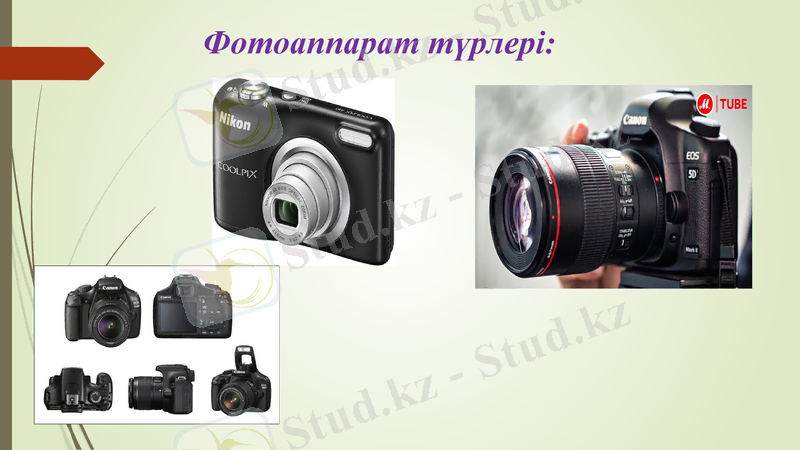 Slide 4