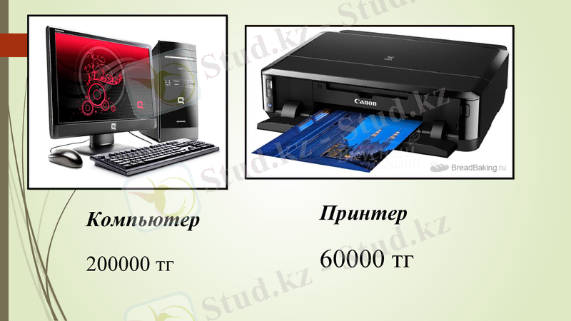 Slide 7