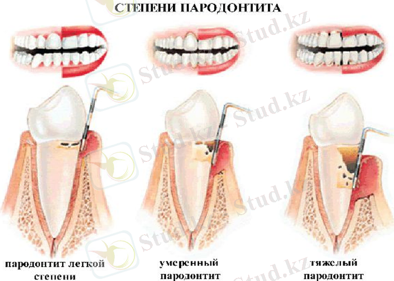 Slide 9