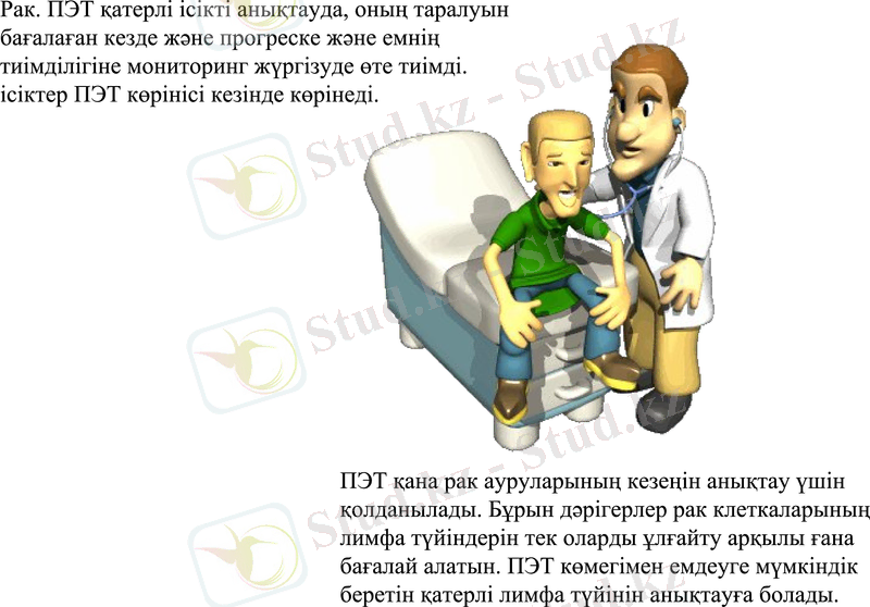 Slide 11