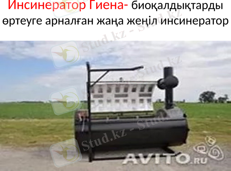 Slide 10