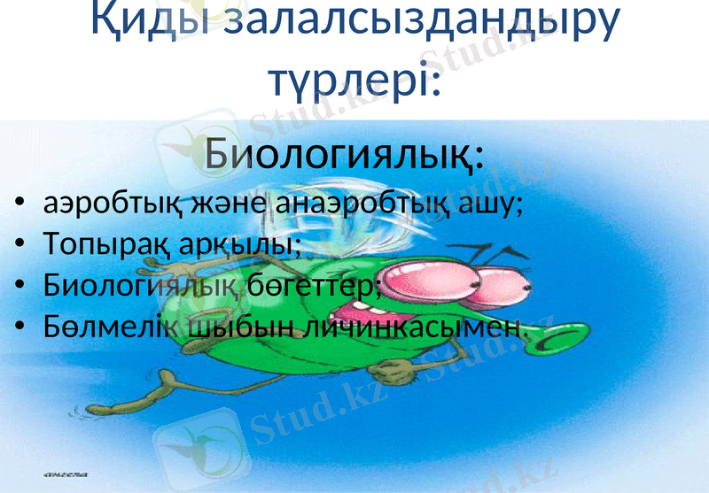 Slide 5