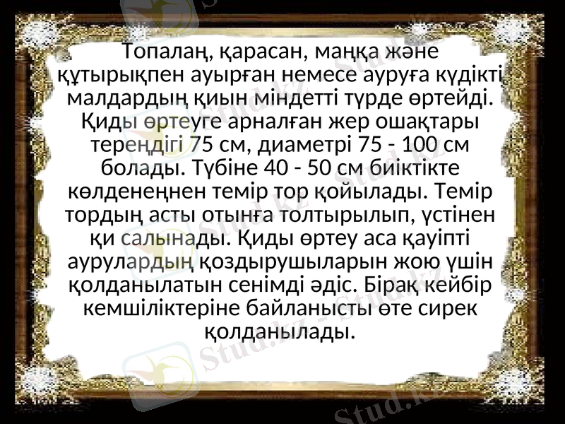 Slide 8