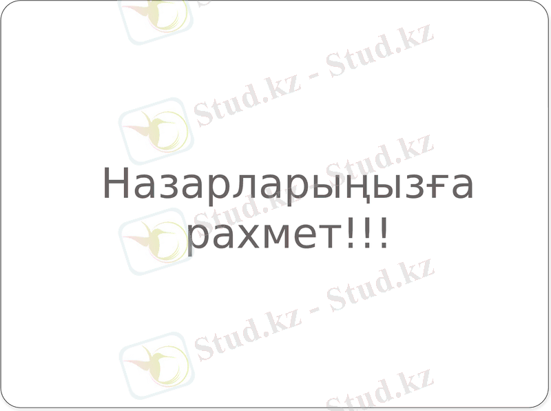 Slide 11