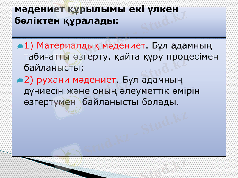Slide 7