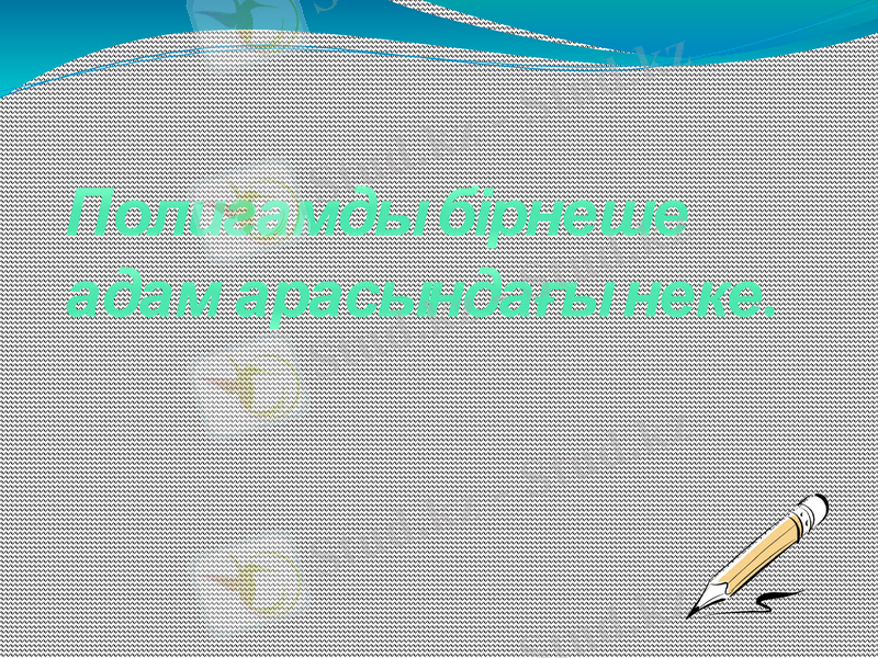 Slide 11