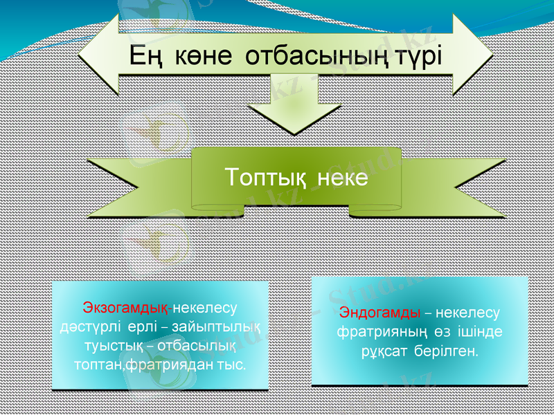 Slide 15