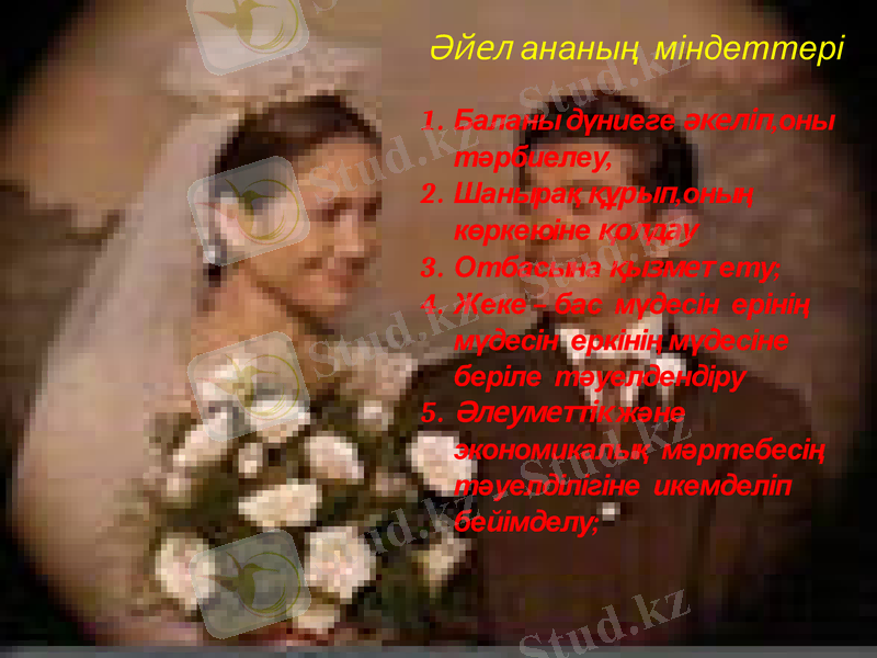 Slide 7