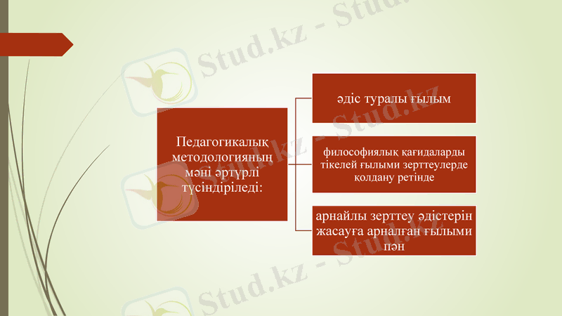 Slide 6