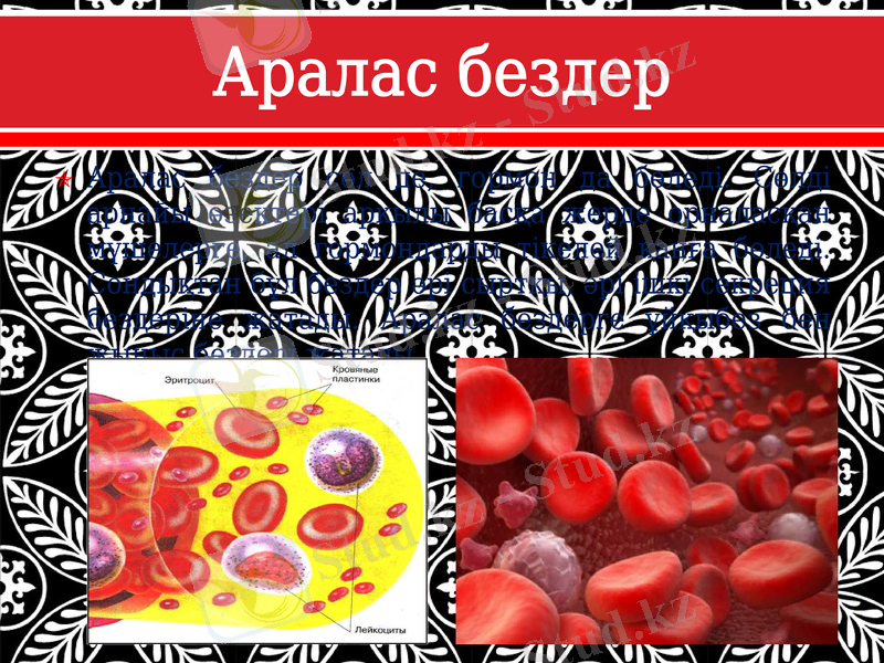 Slide 8