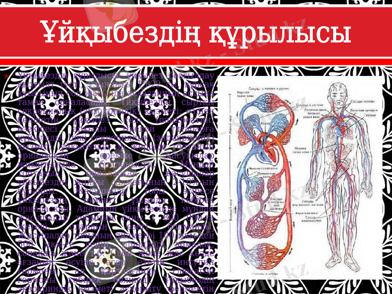 Slide 9