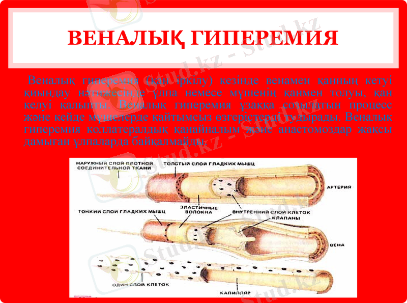 Slide 7
