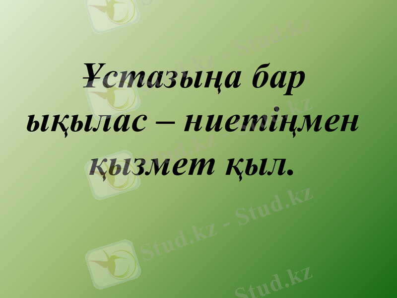 Slide 14