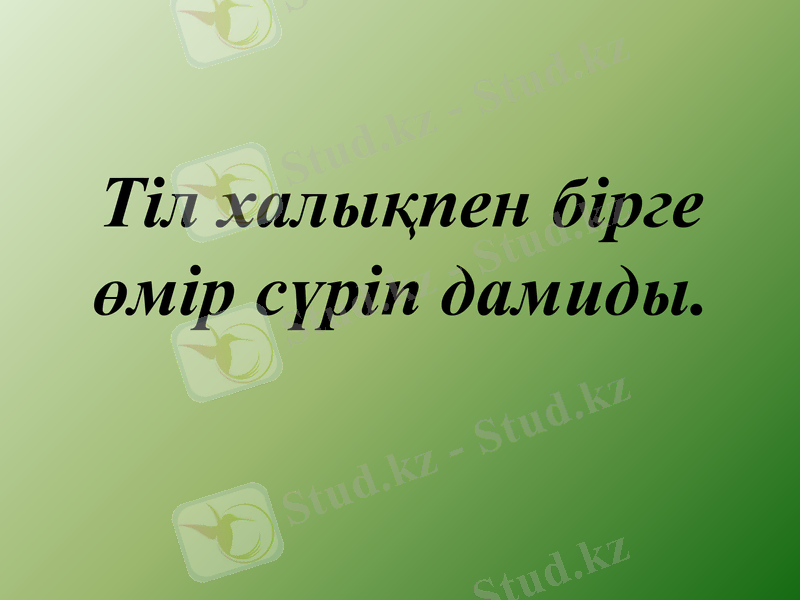 Slide 15