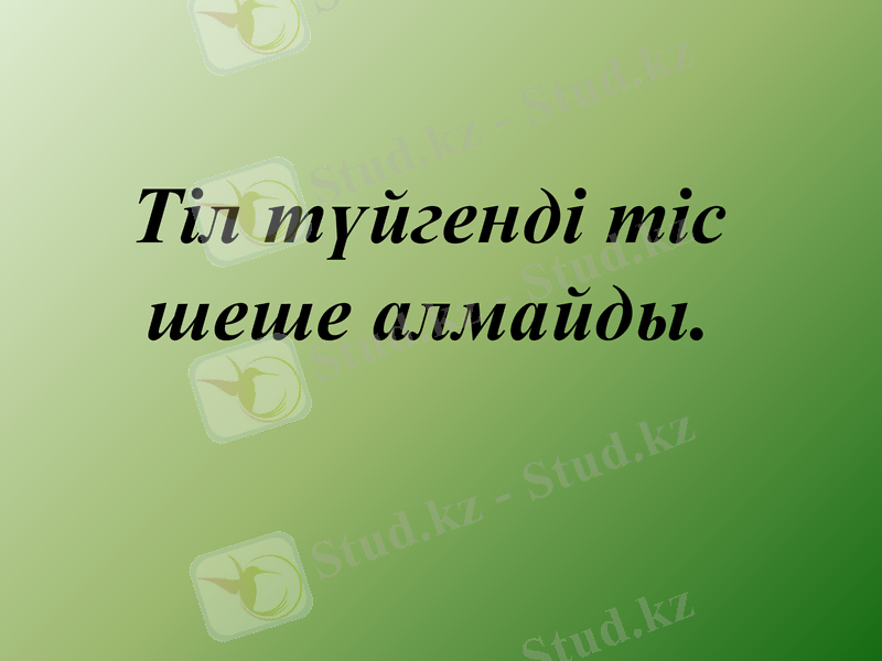 Slide 17