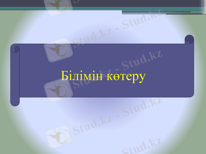 Slide 7
