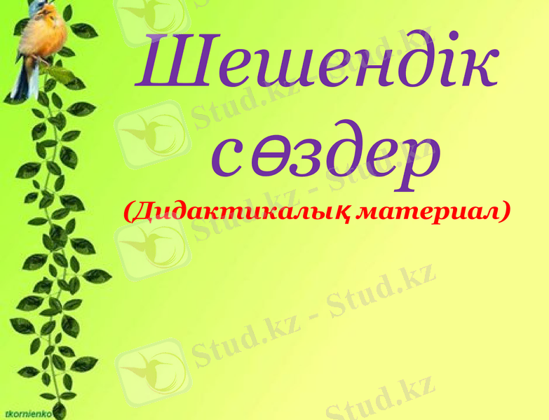 Slide 1