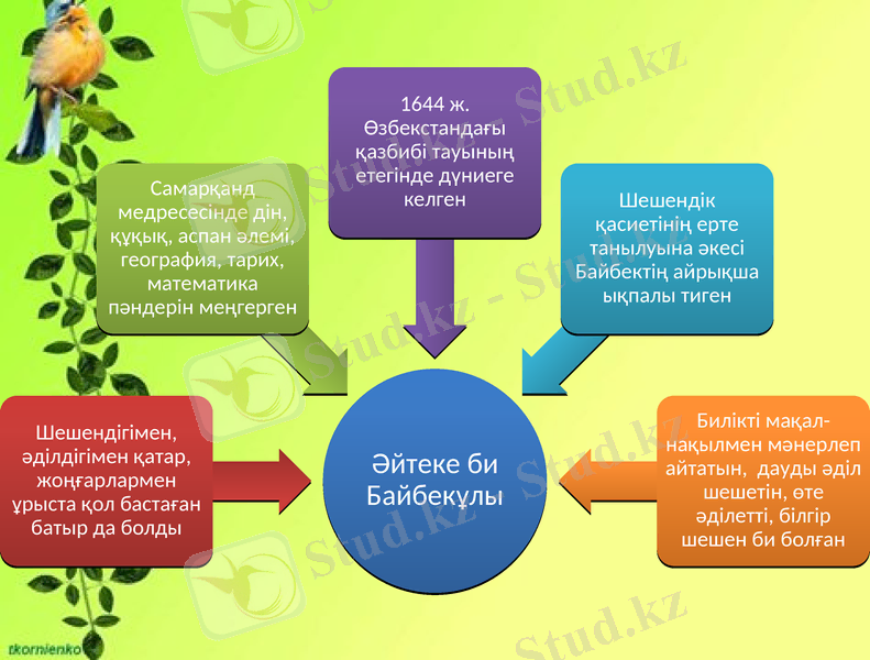 Slide 13