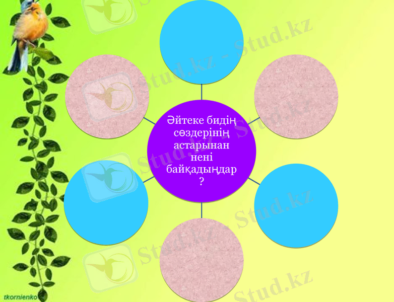 Slide 14