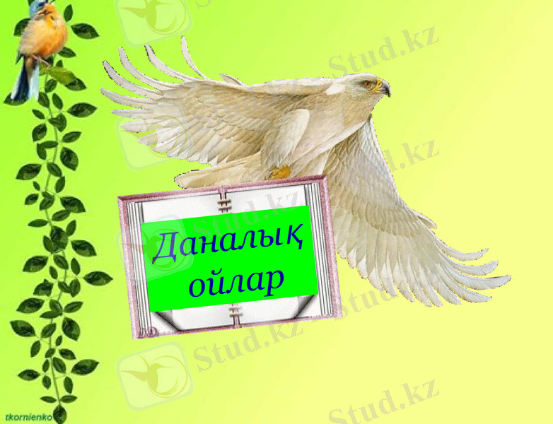 Slide 17