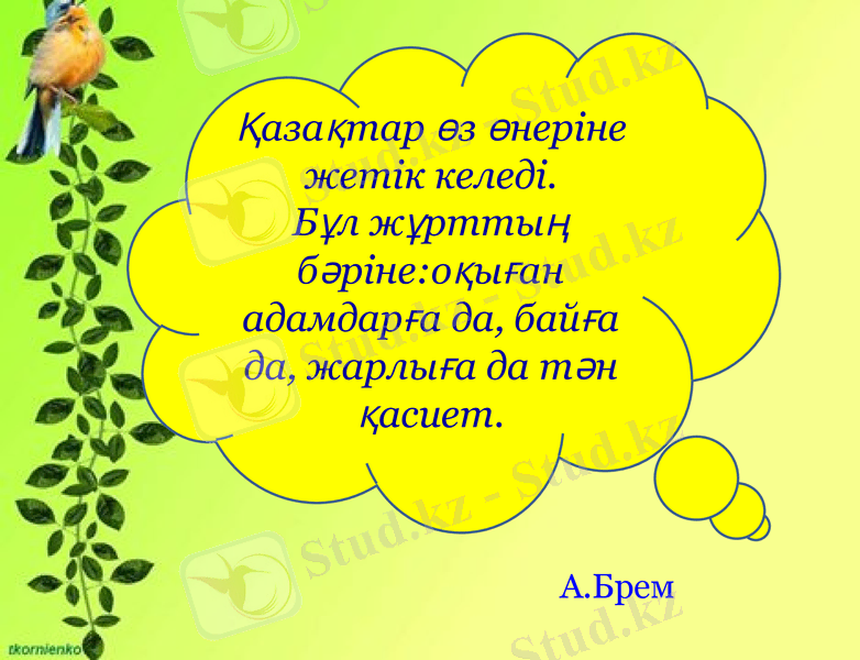 Slide 19
