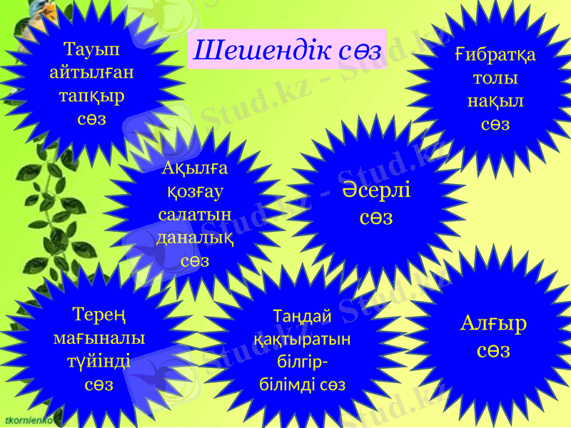 Slide 3