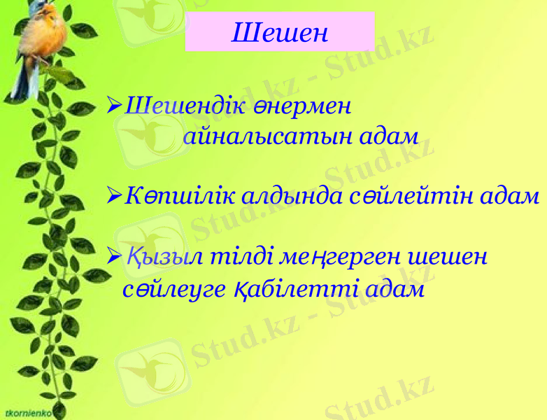 Slide 5