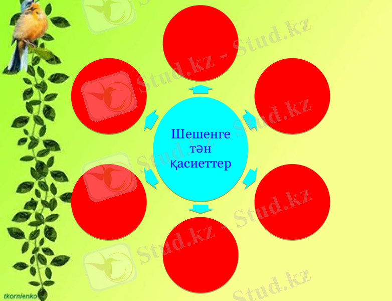Slide 7