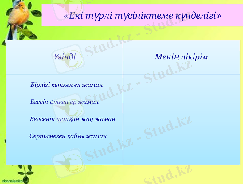 Slide 8