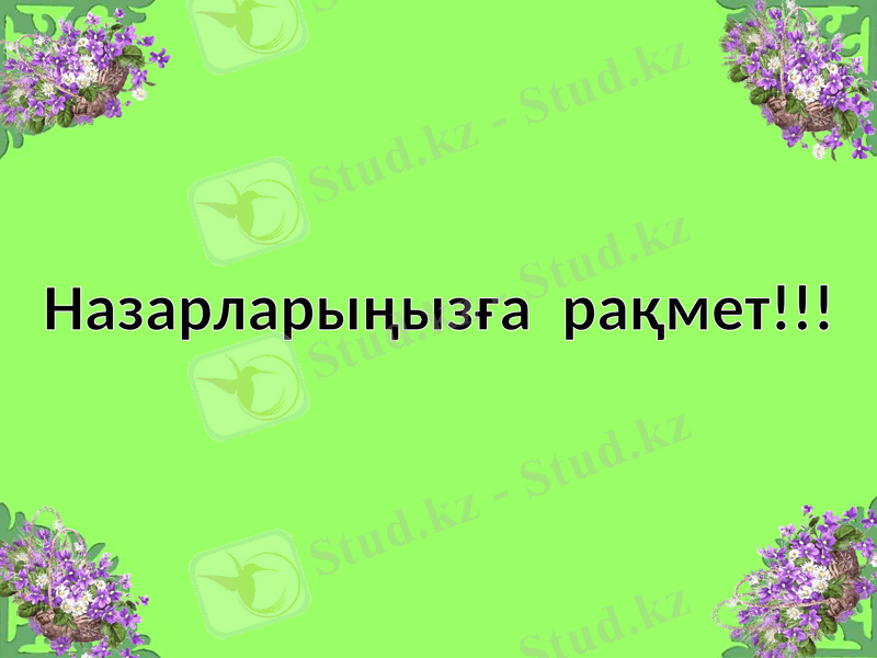 Slide 12