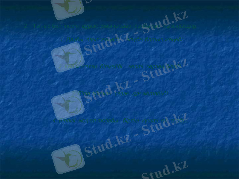 Slide 6