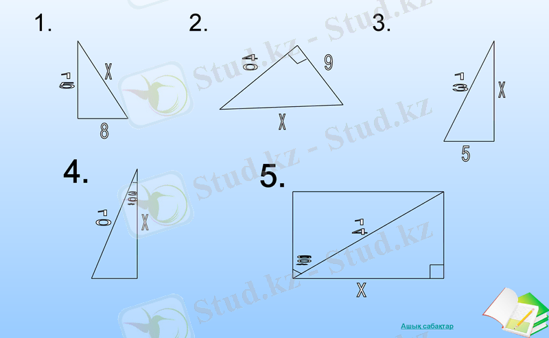 Slide 5
