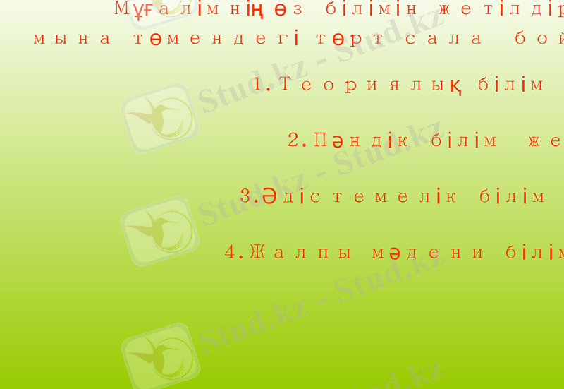 Slide 11