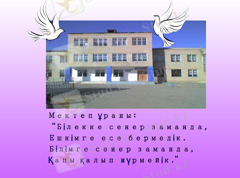 Slide 2