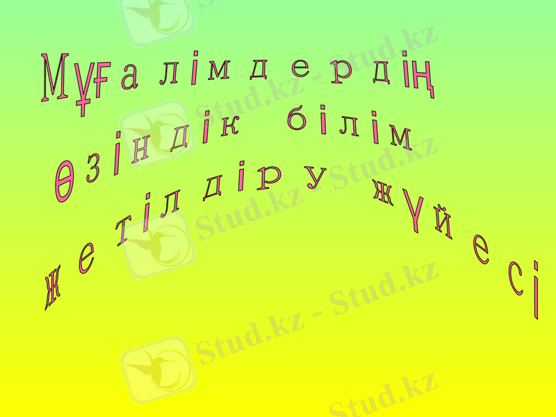 Slide 7