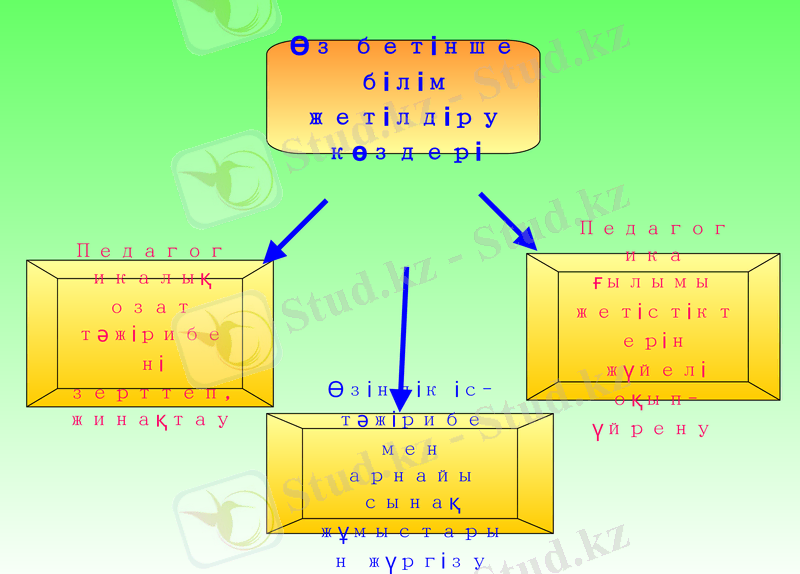Slide 8