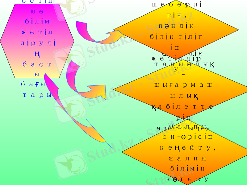 Slide 9