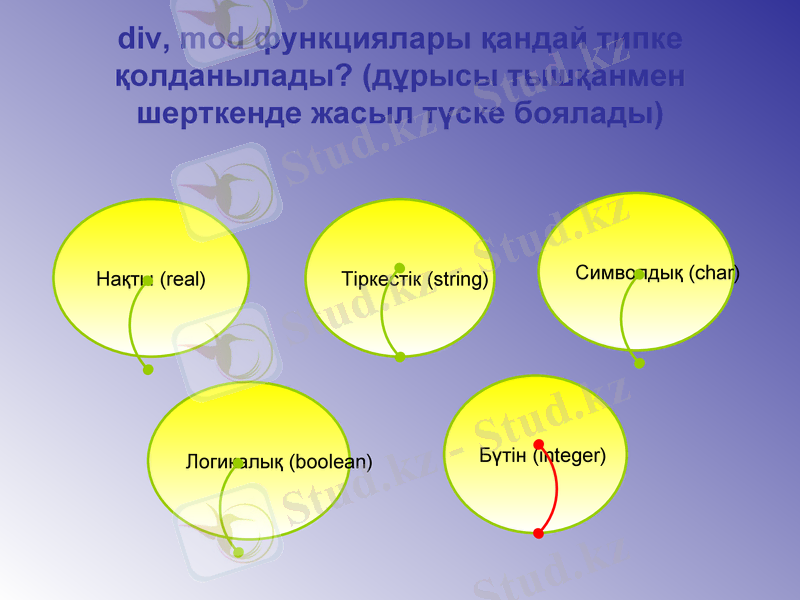 Slide 11