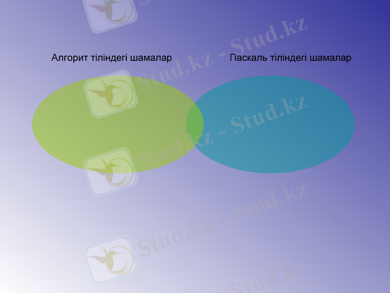 Slide 16