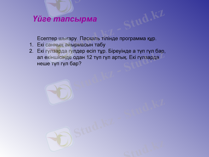 Slide 17