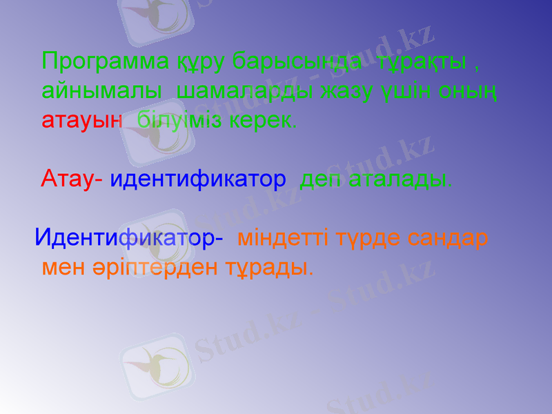 Slide 5