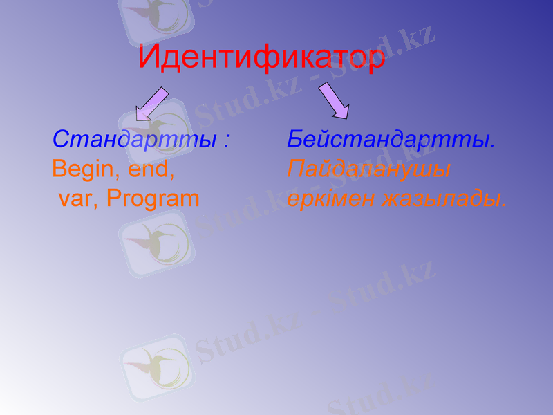 Slide 6