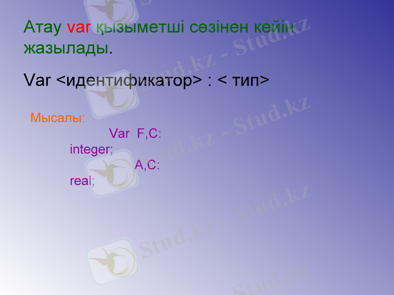 Slide 8