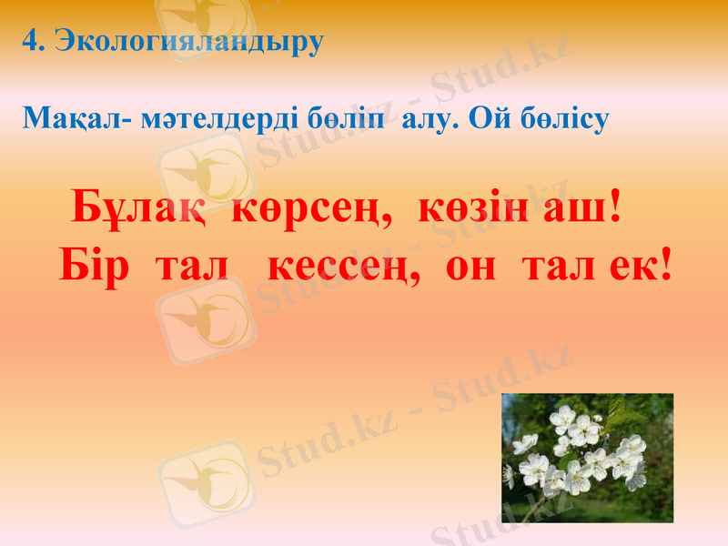 Slide 11